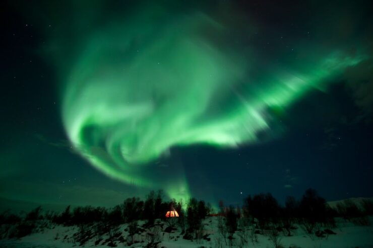 Tromsø: Northern Lights Husky Visit With Traditional Dinner - Booking Details
