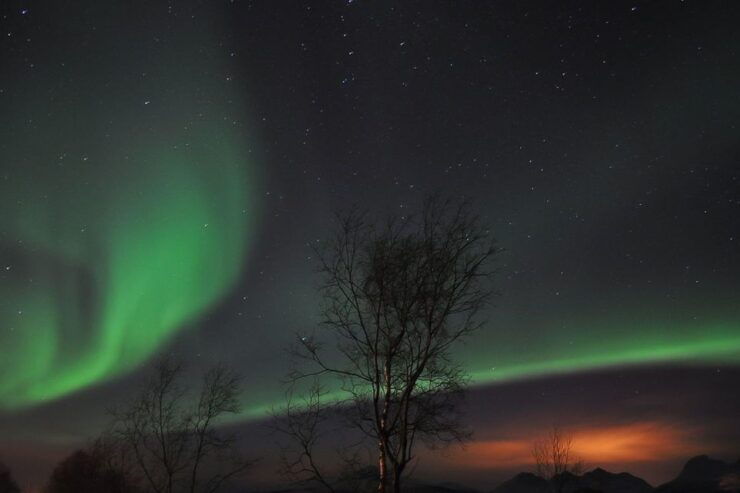 Tromsø: Northern Lights Husky Visit With Traditional Dinner - Experience Highlights