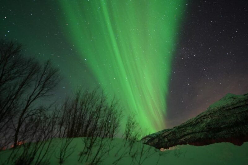 Tromsø: Northern Lights Minibus Small Private Tour Group - Practical Details That Matter