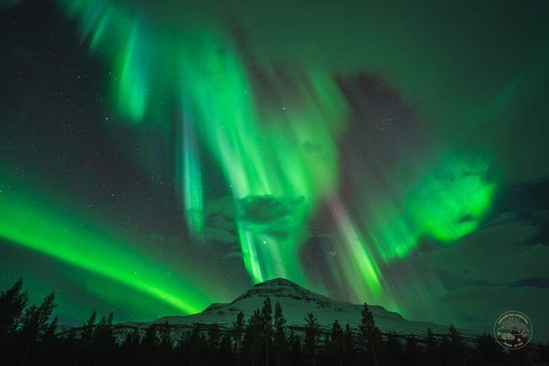 Tromsø: Northern Lights Photography Small-Group Tour - The Details That Matter