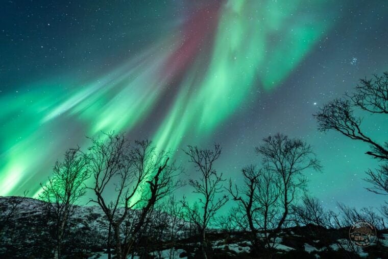 Tromsø: Northern Lights Photography Tour - What Makes This Tour Stand Out?
