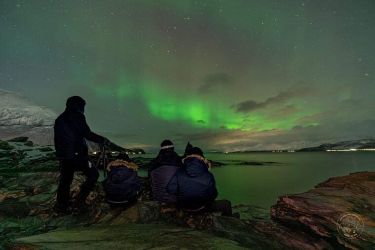 Tromsø: Northern Lights Photography Tour - Who Is This Tour Best For?
