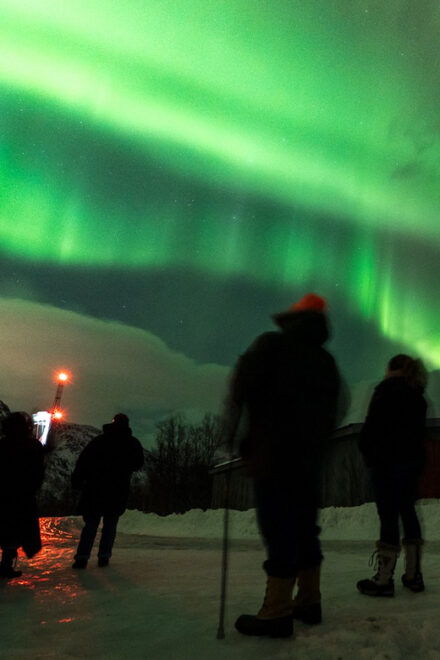 Tromsø Northern Lights - Private Group Tour With Local Guide - Tour Experience