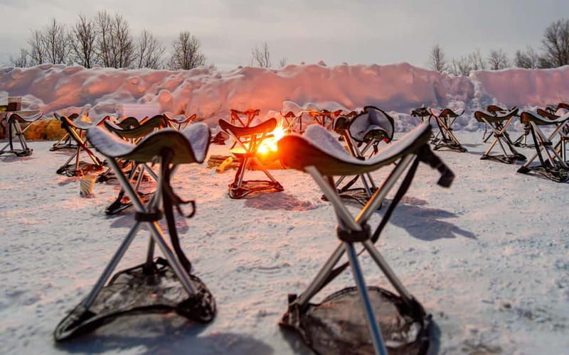 Tromsø: Northern Lights Safari - Good To Know