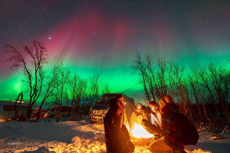 Tromsø: Northern Lights Safari - Final Thoughts: Who Should Consider This Tour?