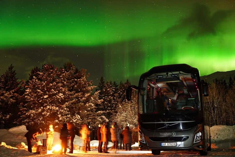 Tromsø: Northern Lights Safari - Final Words