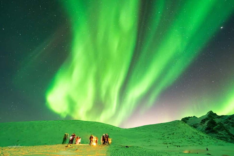 Tromsø: Northern Lights Safari w/ Experienced Guide & Photos - FAQs