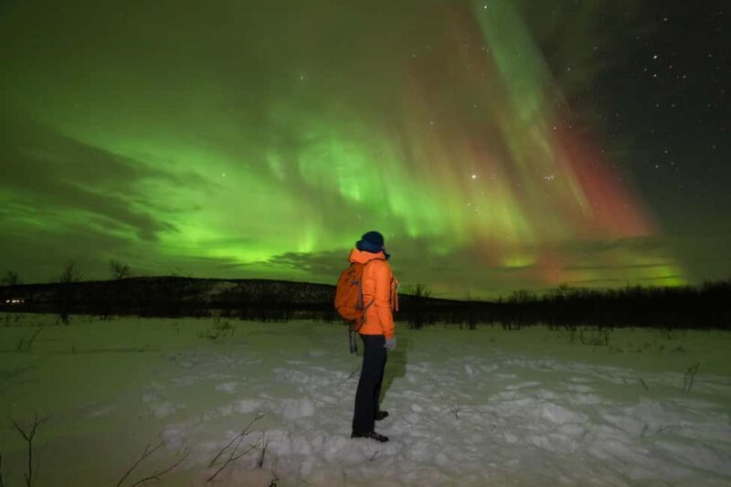 Tromsø: Northern Lights tour, local experts, free photos - A Well-Rounded Northern Lights Adventure in Tromsø