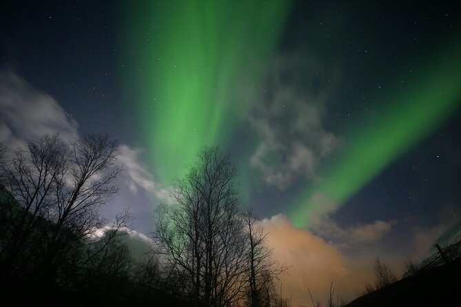 Tromsø Northern Lights Tour  - Tromso - Expectations and Policies