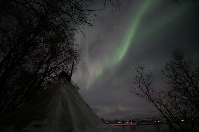 Tromsø Northern Lights Tour  - Tromso - Positive Feedback From Participants