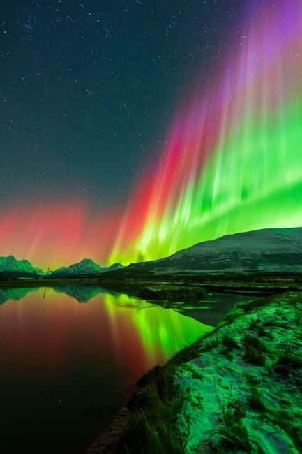 Tromsø: Northern Lights Tour with Campfire - Good To Know