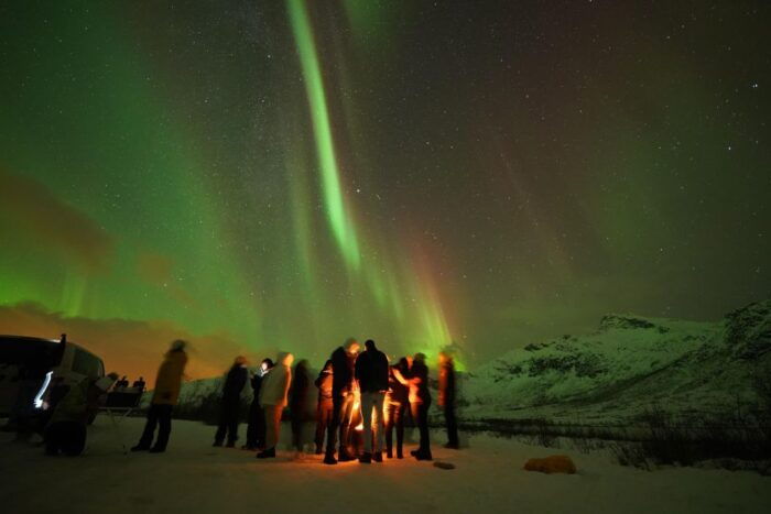Tromsø: Northern Lights Tour with Free Professional Portrait - The Sum Up