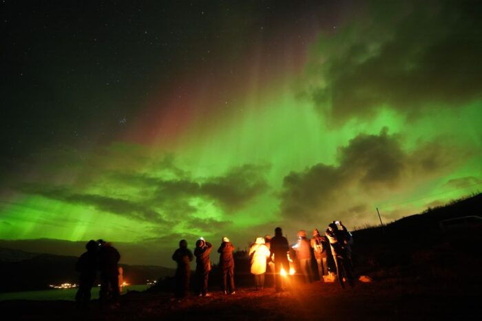 Tromsø: Northern Lights Tour with Free Professional Portrait - FAQ