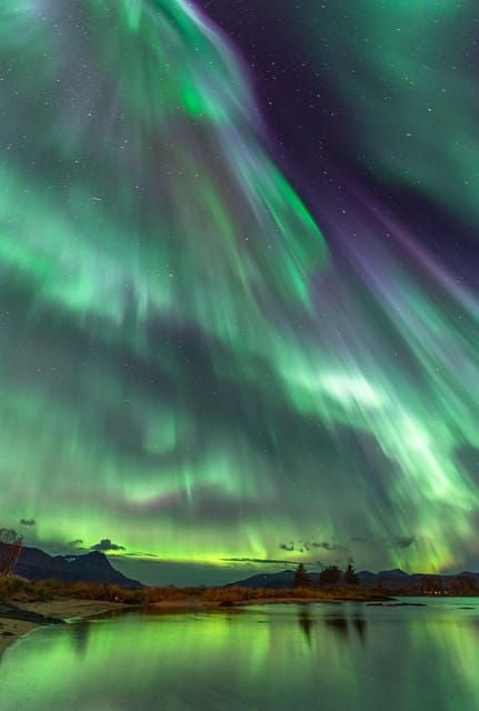 Tromsø: Northern Lights Tour with Local Guide and Photos - The Value of This Tour
