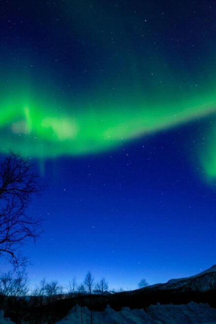 Tromsø: Northern Lights Tour With Photography (Chinese) - Itinerary and Activities
