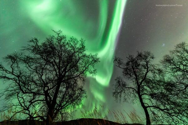 Tromsø: Northern Lights Tour With Photos and Warm Suits - Tour Highlights