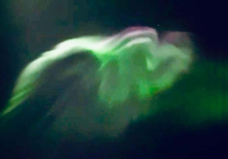 Tromsø: Northern Lights Tour with Photos & Snacks - What’s Included and What’s Not