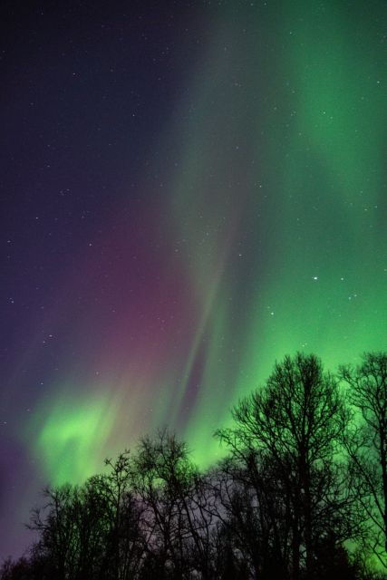 Tromsø: Northern Lights Walking Tour - Tour Details