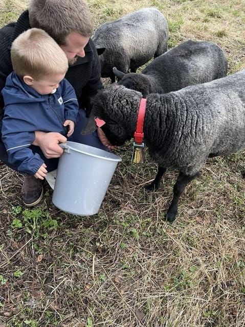 Tromsø: Norwegian farmvisit with guide - Who Will Love This Experience?