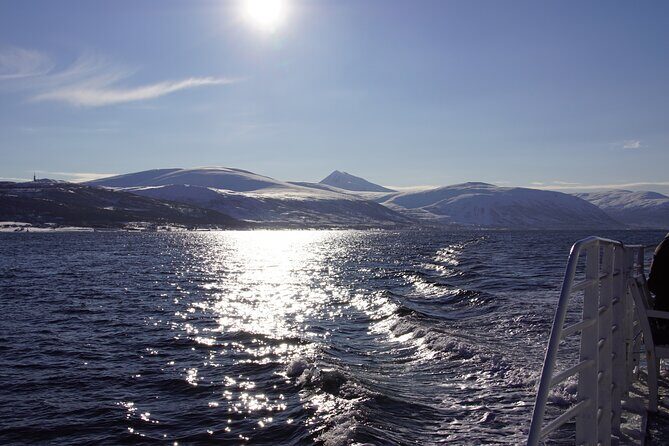 Tromsø: Polar Fjord & Fishing Cruise with Lunch included - Practical Information & Tips