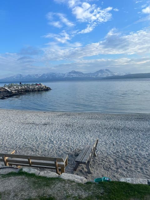 Tromsø: Private City Excursion with a Local - Good To Know