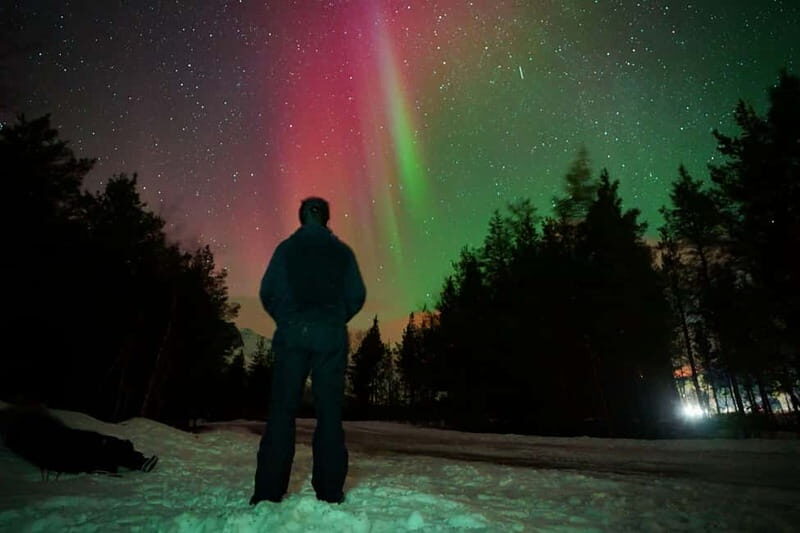 Tromsø: Private Northern Lights Tour with Pro Photographer - The Price and Value  