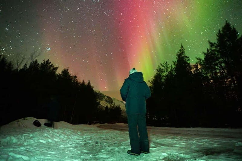 Tromsø: Private Northern Lights Tour with Pro Photographer - The Sum Up  