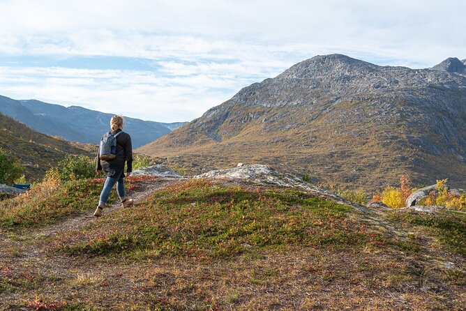 Tromsø Private Tour to Kvaløya & Sommarøy  - Tromso - Booking and Cancellation Policy