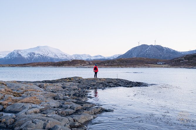Tromsø Private Tour to Kvaløya & Sommarøy  - Tromso - Common Questions