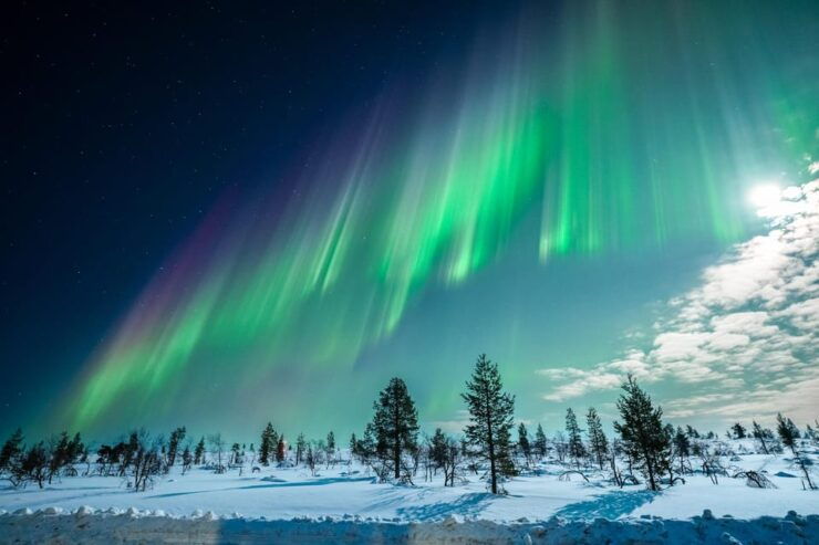 Tromsø: Private Tour With Guaranteed Northern Lights Viewing - Unique Features