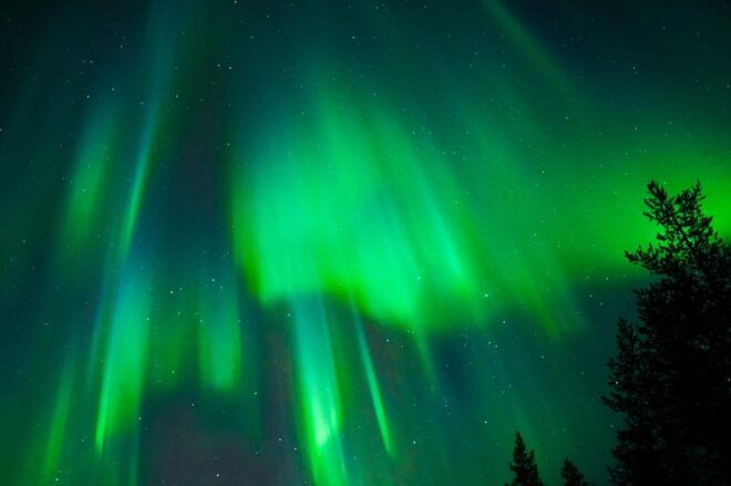 Tromsø: Private Tour With Guaranteed Northern Lights Viewing - Important Information