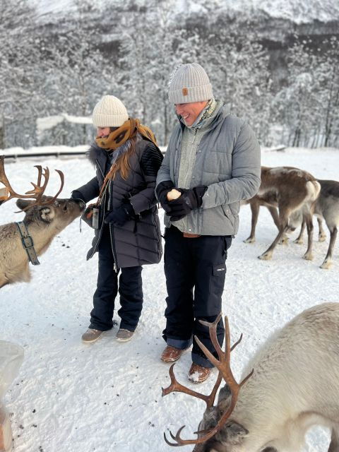 Tromsø: Reindeer Experience at a Sami Camp - Who Is This Tour Best For?