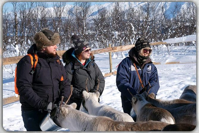 Tromsø Reindeer & Sami Culture Experience  - Tromso - Reindeer Feeding and Sami Culture Experience
