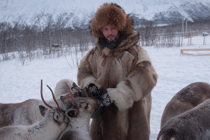 Tromsø Reindeer & Sami Culture Experience  - Tromso - Common Questions