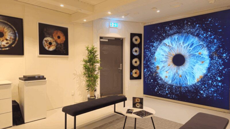 Tromsø: Reveal Your Eye Experience at the Iris Galerie - Tromsø: Reveal Your Eye Experience at the Iris Galerie