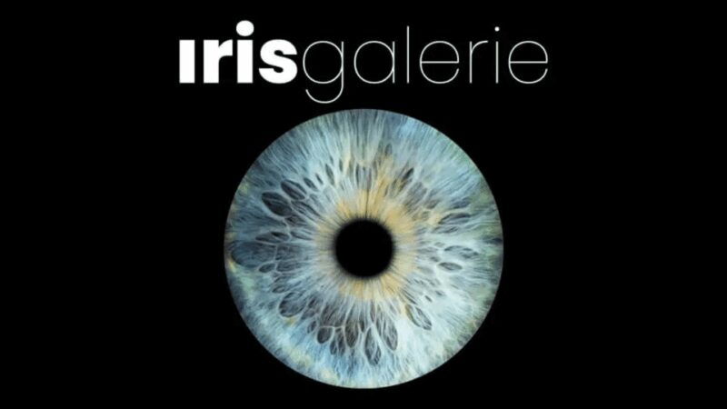 Tromsø: Reveal Your Eye Experience at the Iris Galerie - Why This Experience Works for Travelers