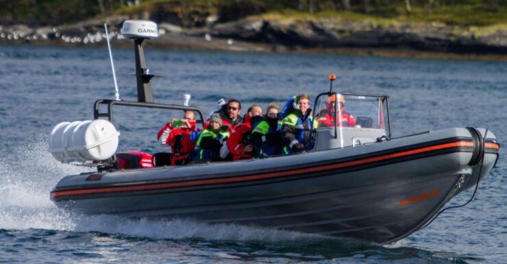 Tromso: RIB-Boat Excursion to Hella - Experience Highlights