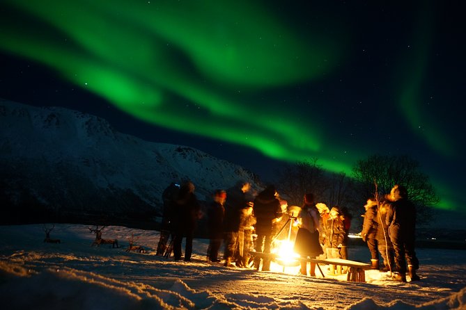 Tromsø Saami Culture and Reindeer-Feeding Experience  - Tromso - Reindeer-Feeding Experience