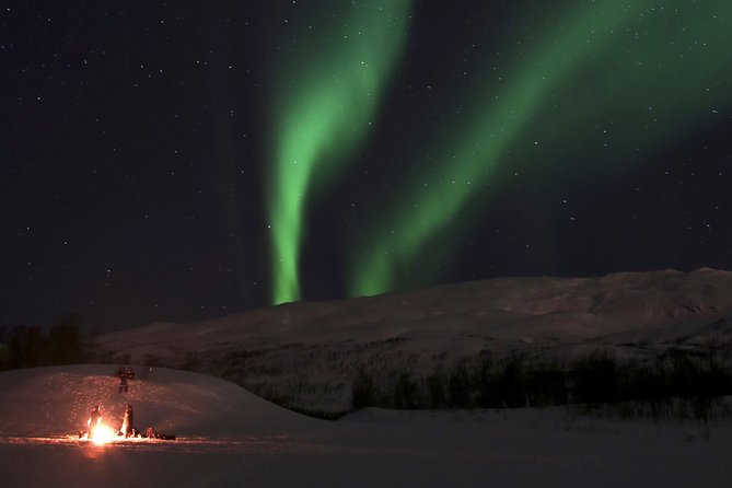 Tromsø Saami Culture and Reindeer-Feeding Experience  - Tromso - Meeting and Pickup Information