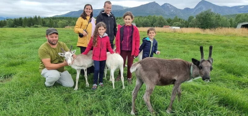 Tromsø: Sami Camp and Reindeer Experience with Lunch - Final Thoughts