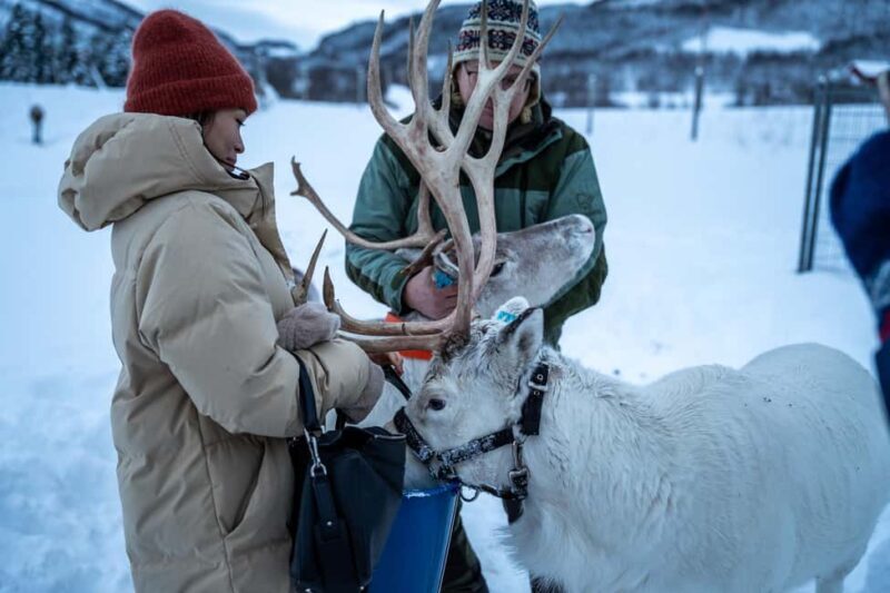 Tromsø: Sami Camp and Reindeer Experience with Lunch - FAQ