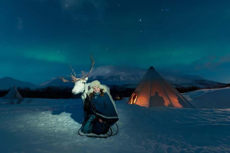 Tromsø: Sami Culture, Northern Lights and Reindeer Feeding - The Experience in Detail: What to Expect