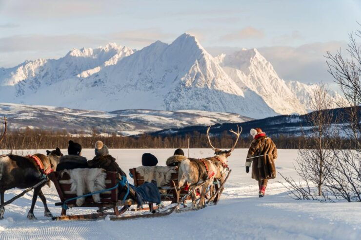 Tromsø: Sámi Reindeer Sledding and Sami Cultural Tour - Activity Details
