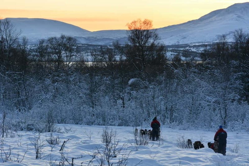 Tromsø: Self-Drive Husky Dog Sledding Adventure - FAQ