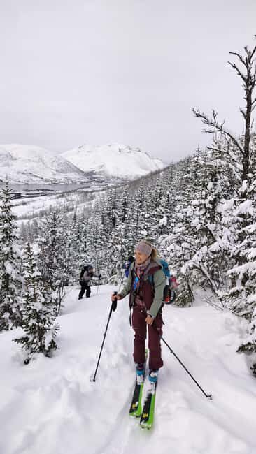 Tromsø: Ski/Randonnee Guided Tour - The Sum Up