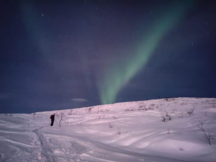 Tromsø: Ski Touring (Ski Randonnee) - Experience Highlights