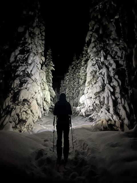 Tromsø: Ski Touring (Ski Randonnee) - What to Bring