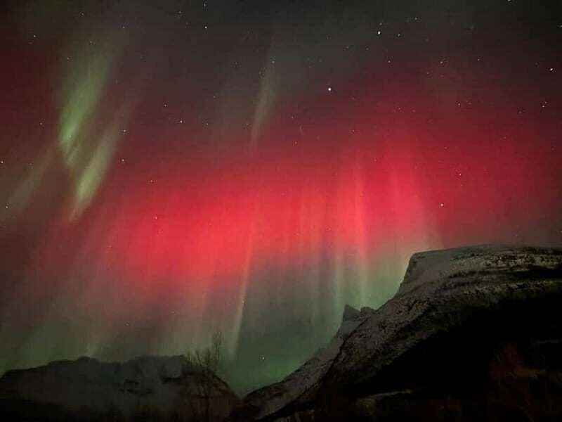 Tromsø/Skibotn: Daytime Sami Culture, Joik & reindeers - A Deep Dive into the Experience