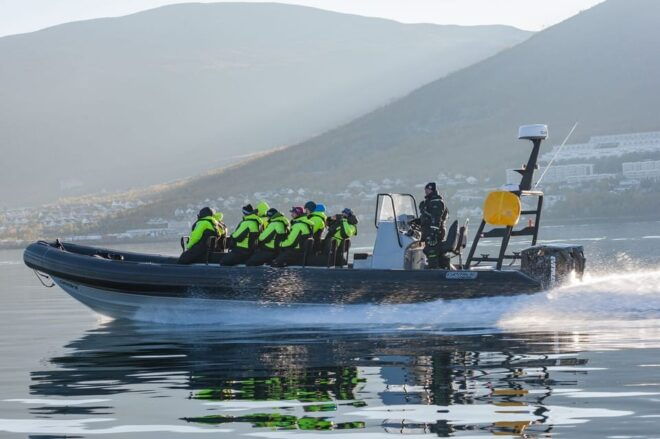 Tromsø: Skjervøy RIB Whale Watching Tour - Whale Watching Experience