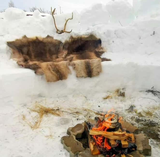 Tromsø: Sledding, Local Traditional Fun, and Winter Magic - Good To Know